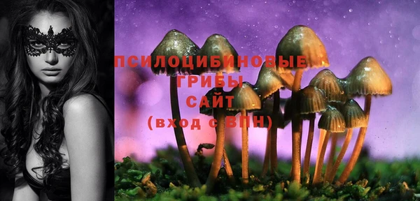 крисы Арсеньев