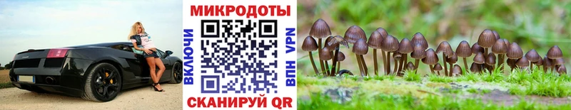 Галлюциногенные грибы ЛСД Николаевск-на-Амуре